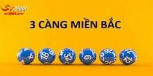 3 Càng Đề Miền Bắc - Tất Cả Những Gì Bạn Cần Biết