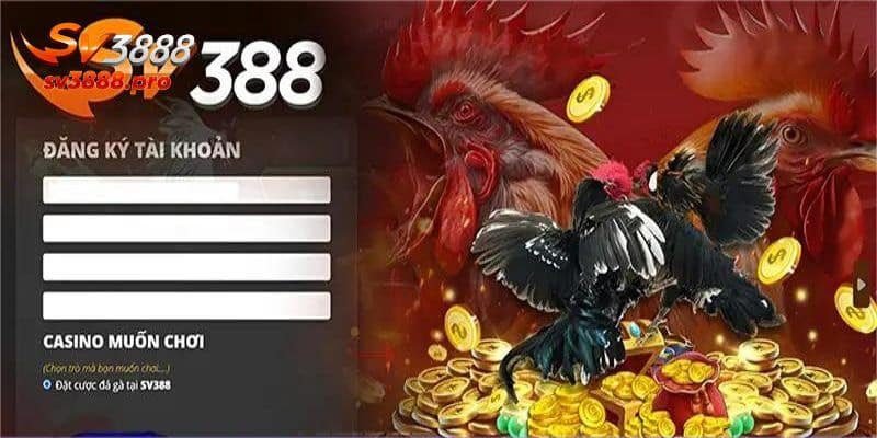 Người tham gia đủ điều kiện mới được đăng ký