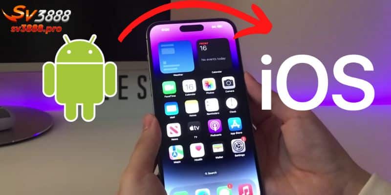 Hướng dẫn thao tác download ứng dụng về máy cho mọi hệ điều hành