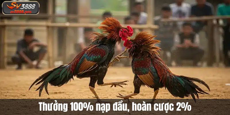 Thưởng 100% nạp đầu, hoàn cược 2%